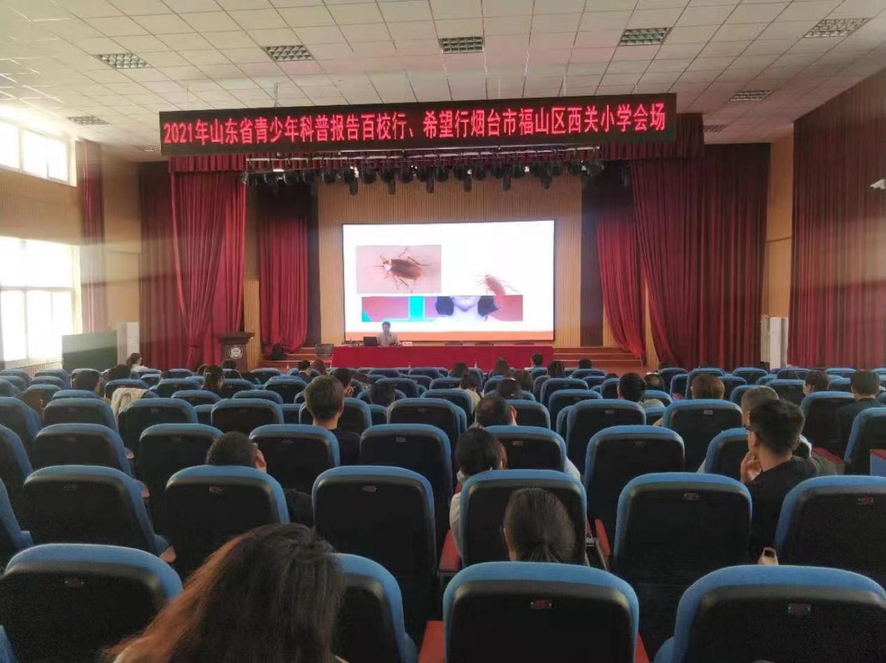 图片2