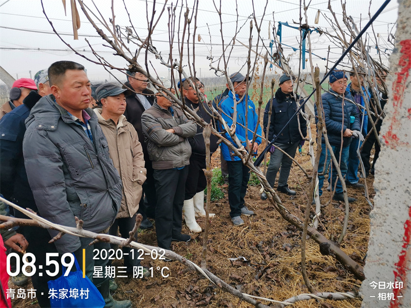 科普活动 (7).jpg