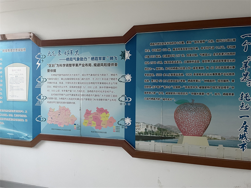 挂图4.jpg