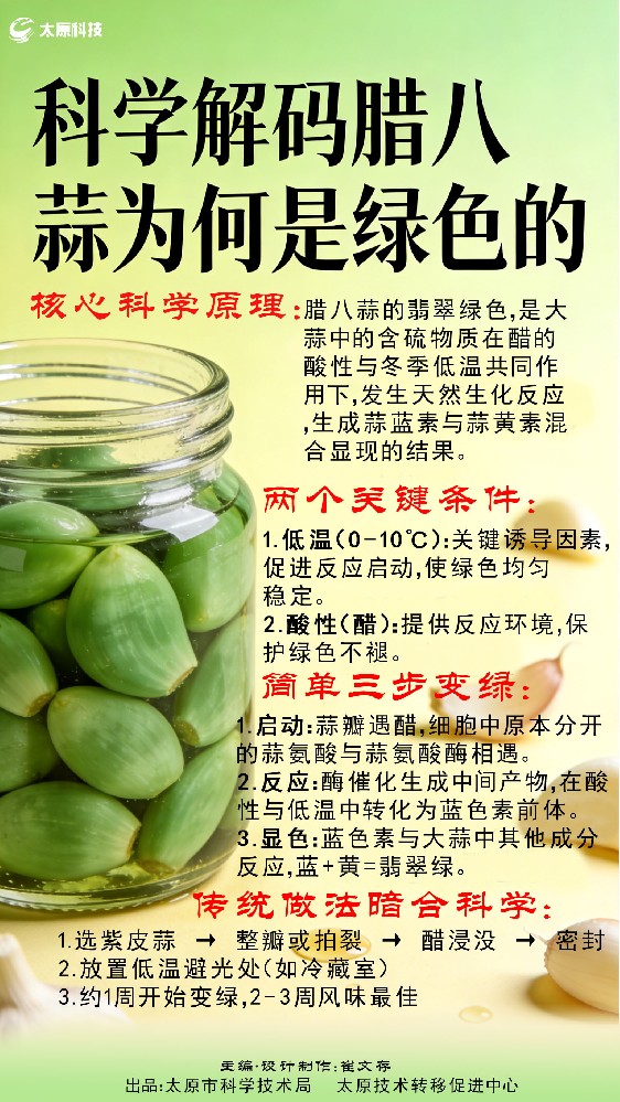 科学解码腊八蒜为何是绿色的
