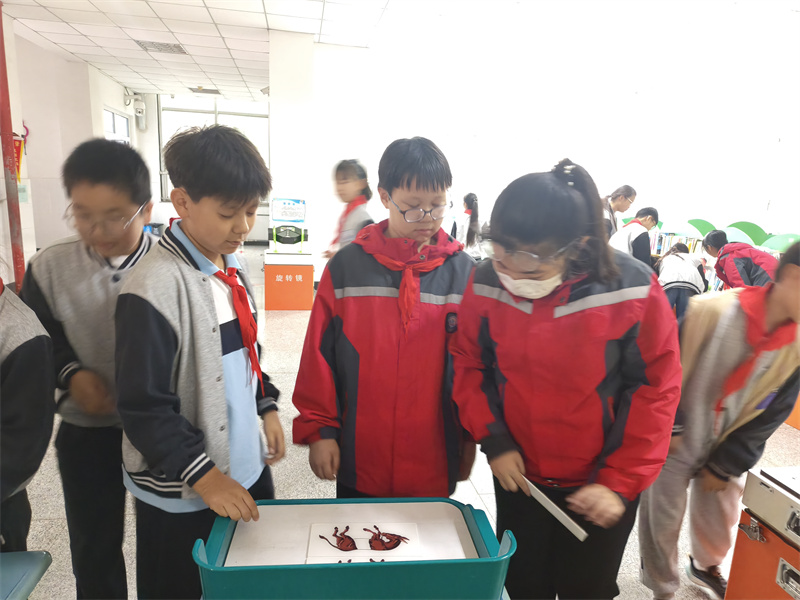 微信图片_20261023094935_2_59.jpg